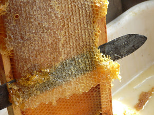 Honey Uncapping Knife